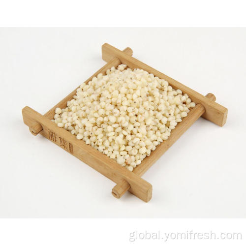 Sorghum Edible Rice With Sorghum Supplier